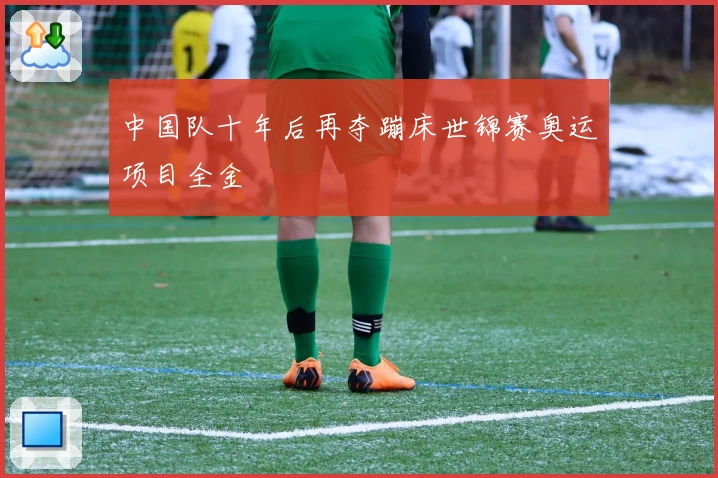 中国队十年后再夺蹦床世锦赛奥运项目全金