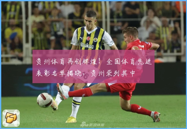 贵州体育再创辉煌！全国体育先进表彰名单揭晓，贵州荣列其中