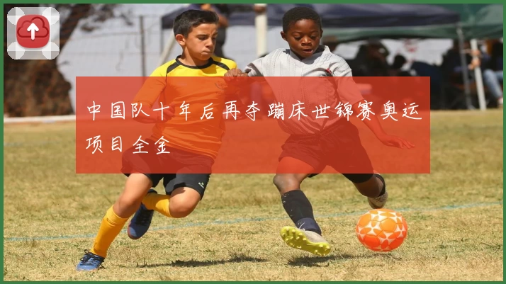 中国队十年后再夺蹦床世锦赛奥运项目全金